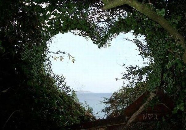 only aesthetic tweet media