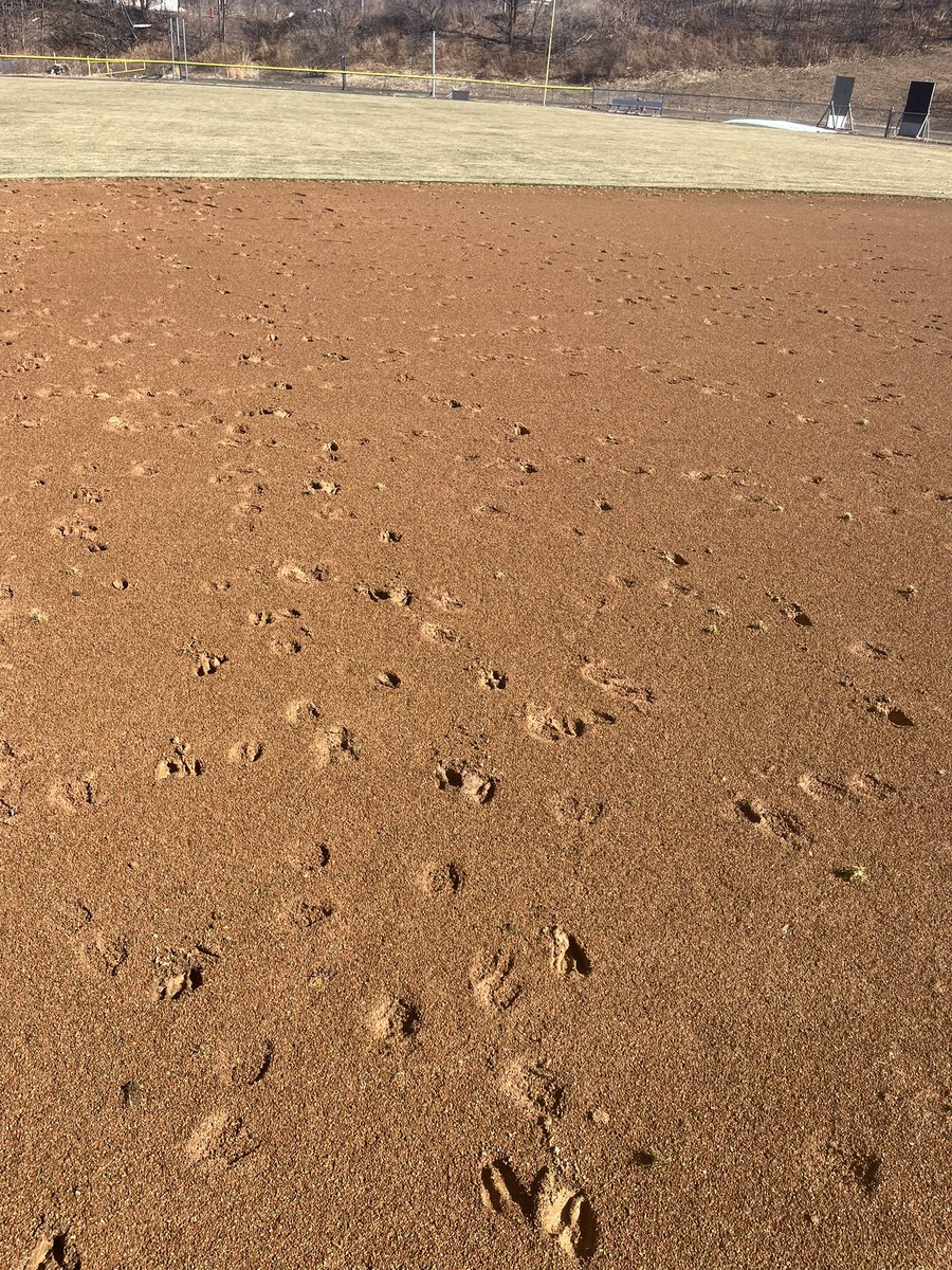 Rob Galdieri tweet media