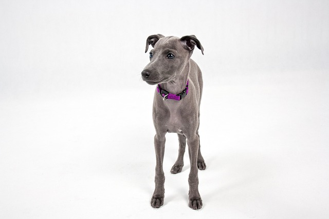 Danielle Eclesia tweet media