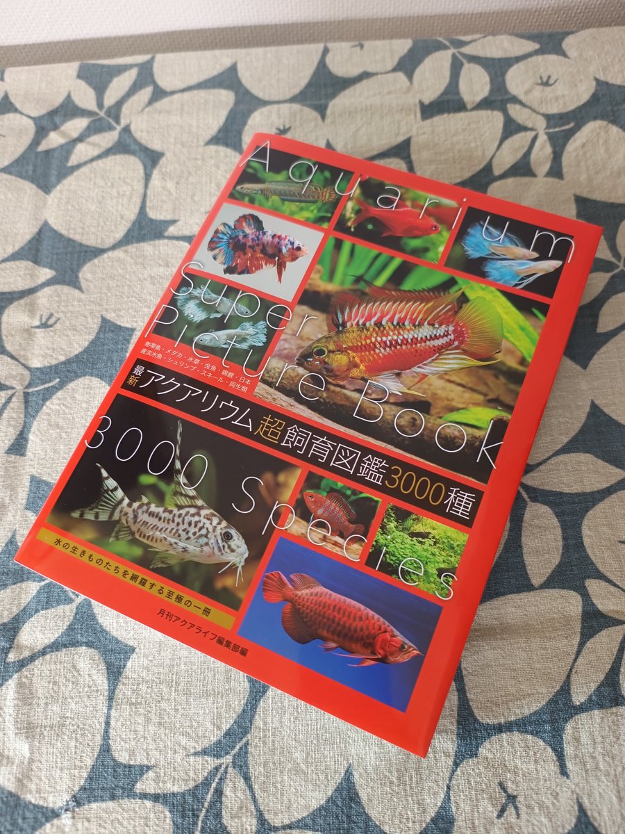 tomic2019's tweet photo. 3000種図鑑の見本書が届きました。ずっとPCのモニターで見ていたんですが、実物は、もう。この厚みよ。カバー込みで2.8cmほどあります。上に乗せたティランジアの黒本160ページが薄く見えます。もちろん重いのですが、B5変型というサイズ感からか手になじみますね　#月刊アクアライフ https://t.co/pPXvuDMyIo