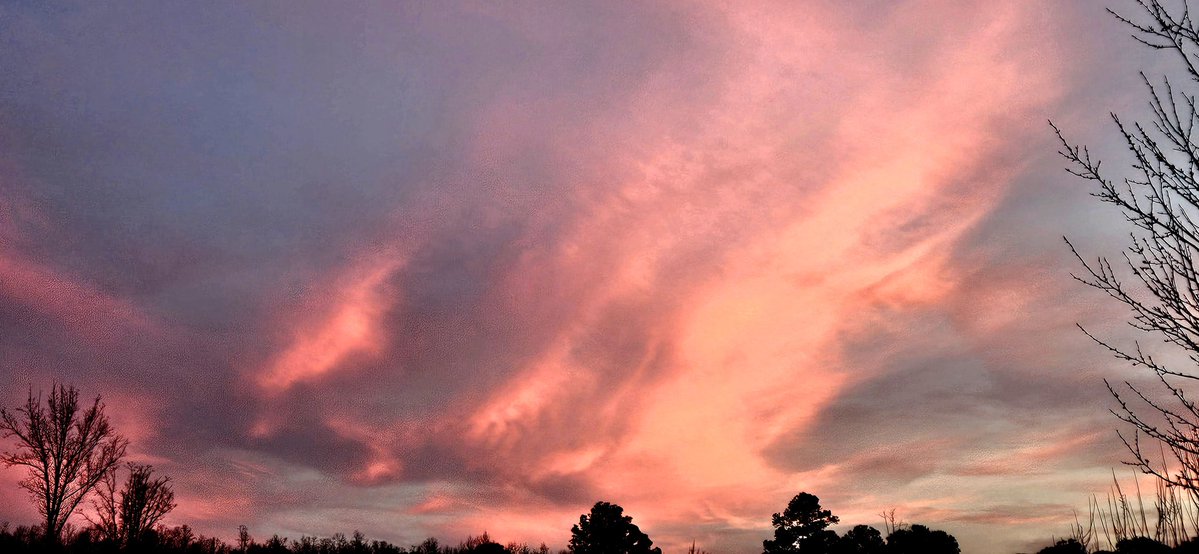 Joe Buonfiglio tweet media