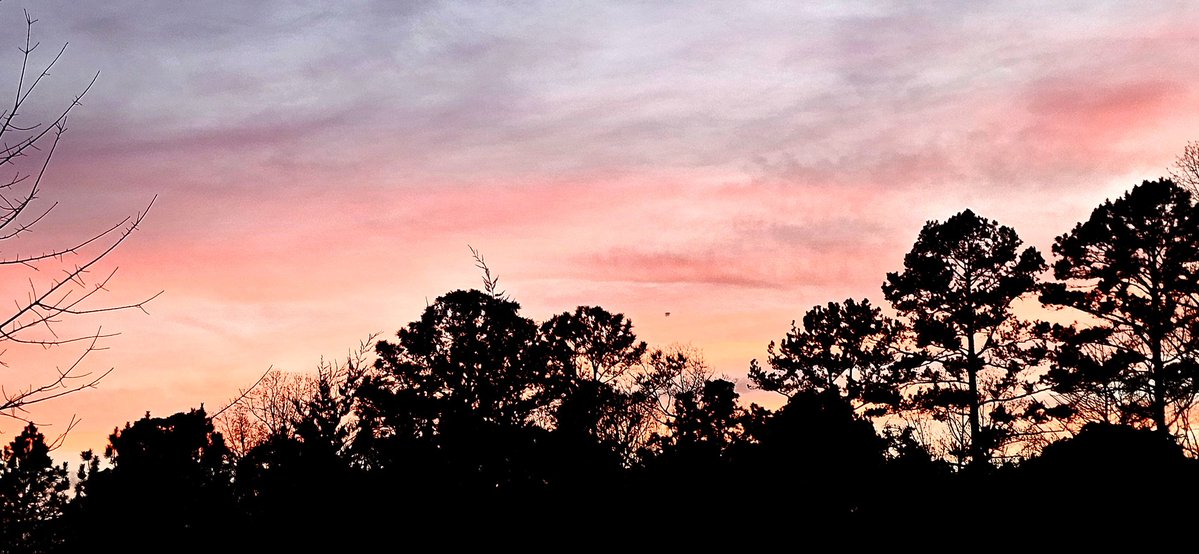 Joe Buonfiglio tweet media