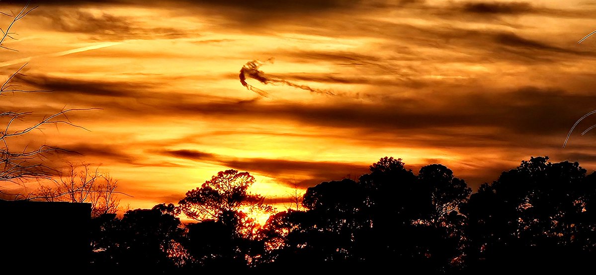 Joe Buonfiglio tweet media