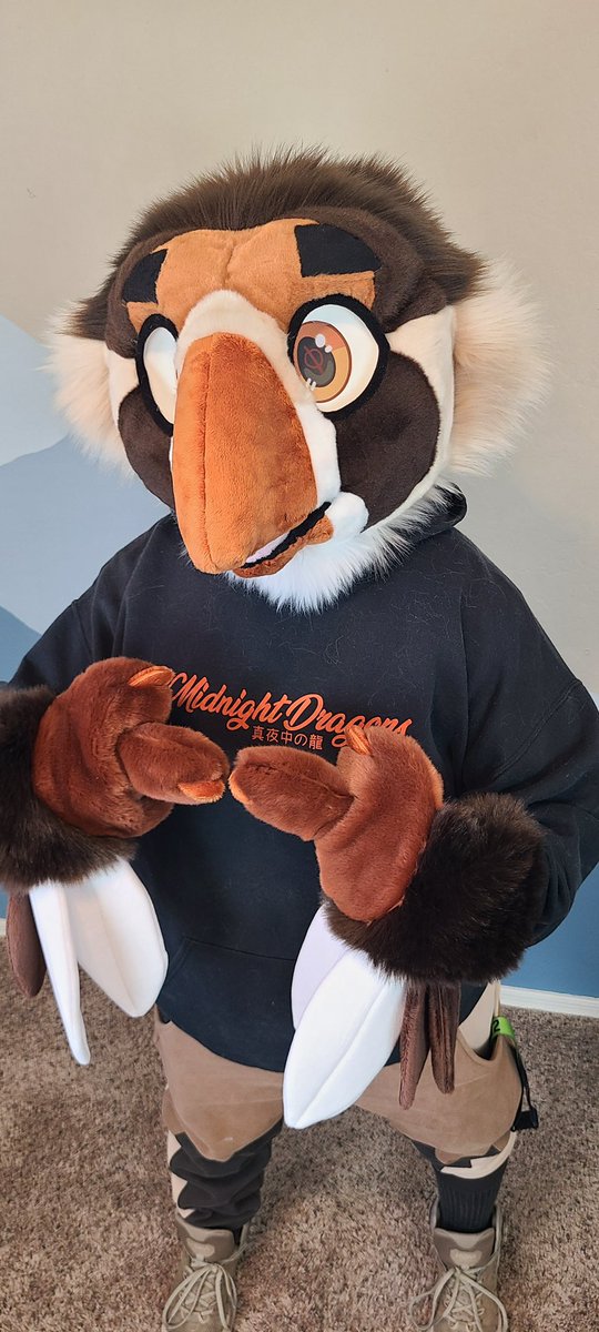 Archie 🔜 LVFC tweet media