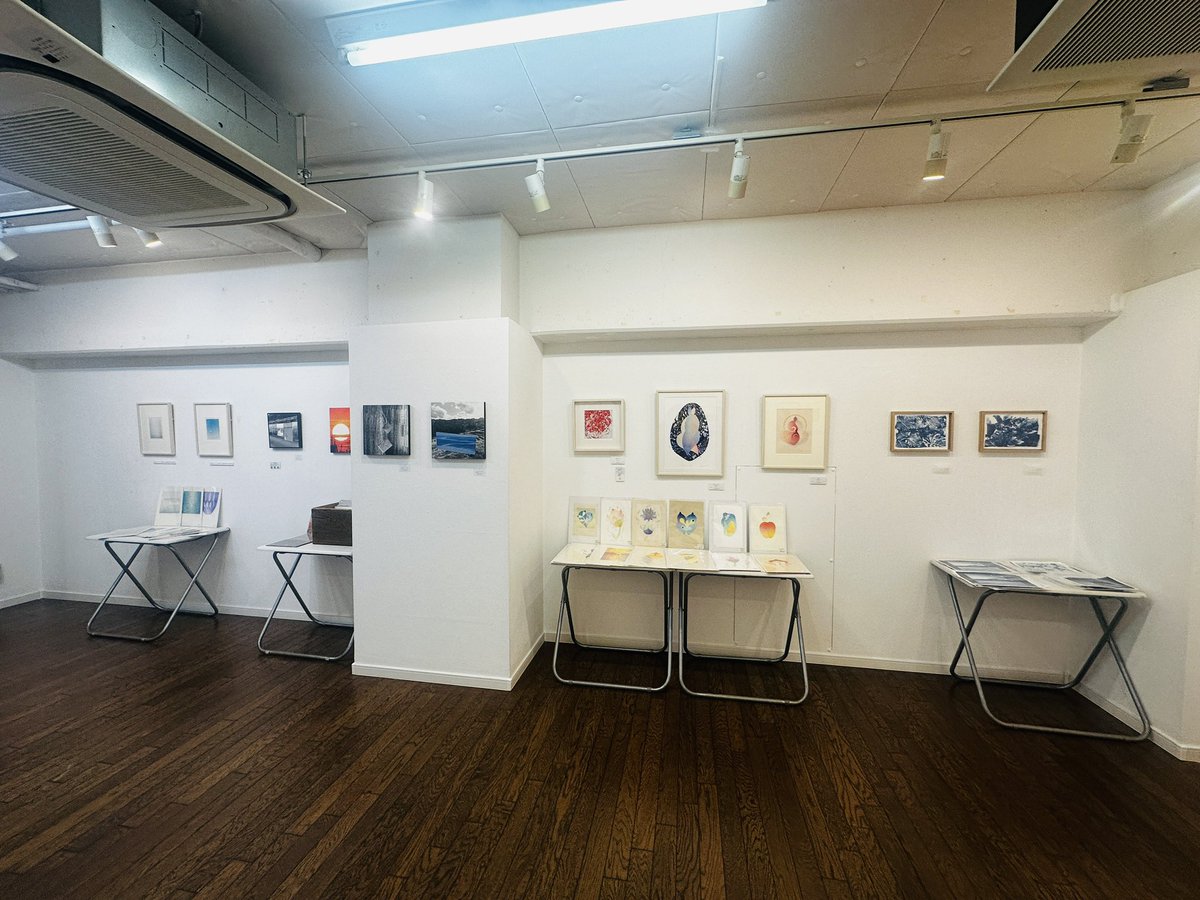 gallerycomplex's tweet photo. 3/5、ACT3&amp;ACT4ではお気に入りの作品をdig(=発掘する)できる
「アートをディグる。展」、
ACT5ではACTセレクトの版画作品を楽しめます🖼️

🟨今週開催の展覧会🟨
2026/3/3(火)-3/8(日)11am-7pm※最終日5pm迄
ACT3&amp;ACT4：ACT主催「アートをディグる。展」※3/15まで開催
ACT5：ACT PRINT SELLECTION https://t.co/pdgcTp2mqa
