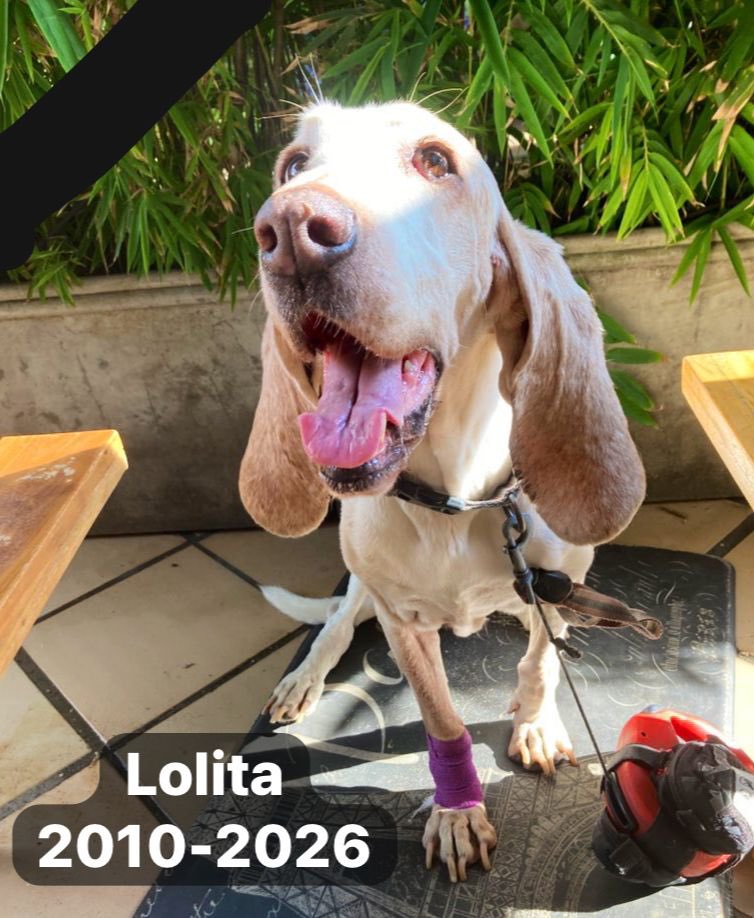 Mario Roberto tweet media