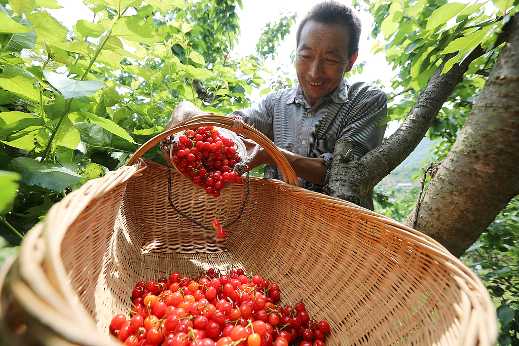 CRI German tweet media