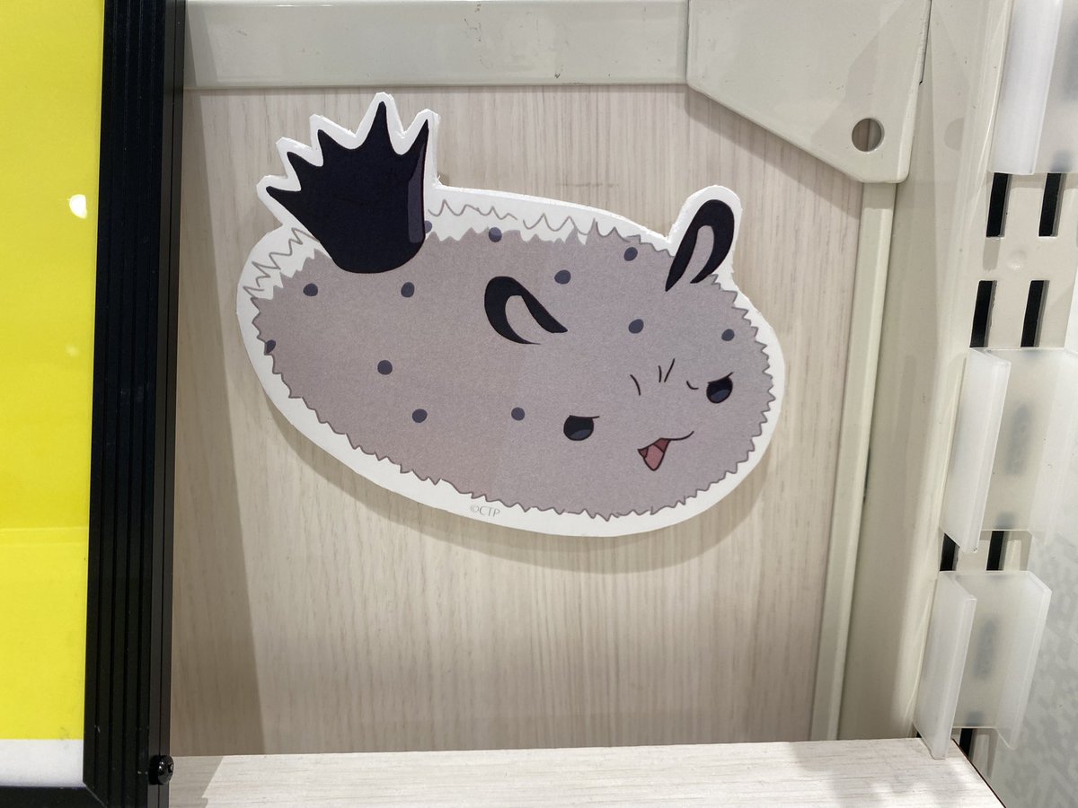 超かぐや姫！POP UP SHOP少し並んだだけで入れた 犬DOGEとFUSHIが愛お