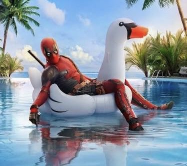 Mark Kruse tweet media