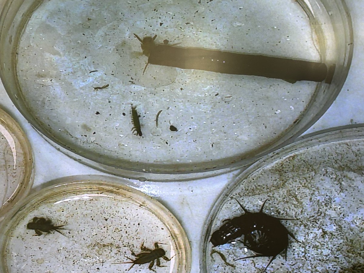 CCPS_STEM tweet media