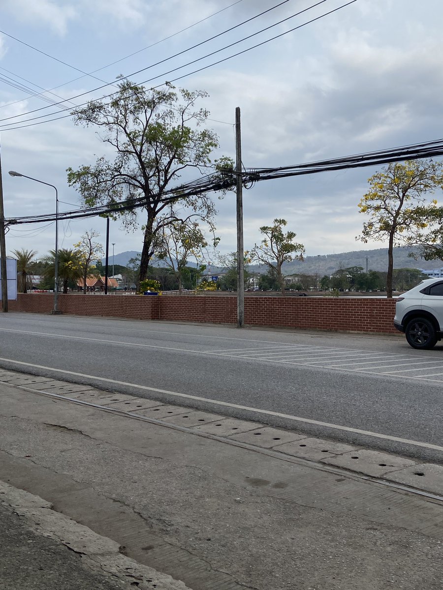 ᶻ 𝘇 𐰁 tweet media