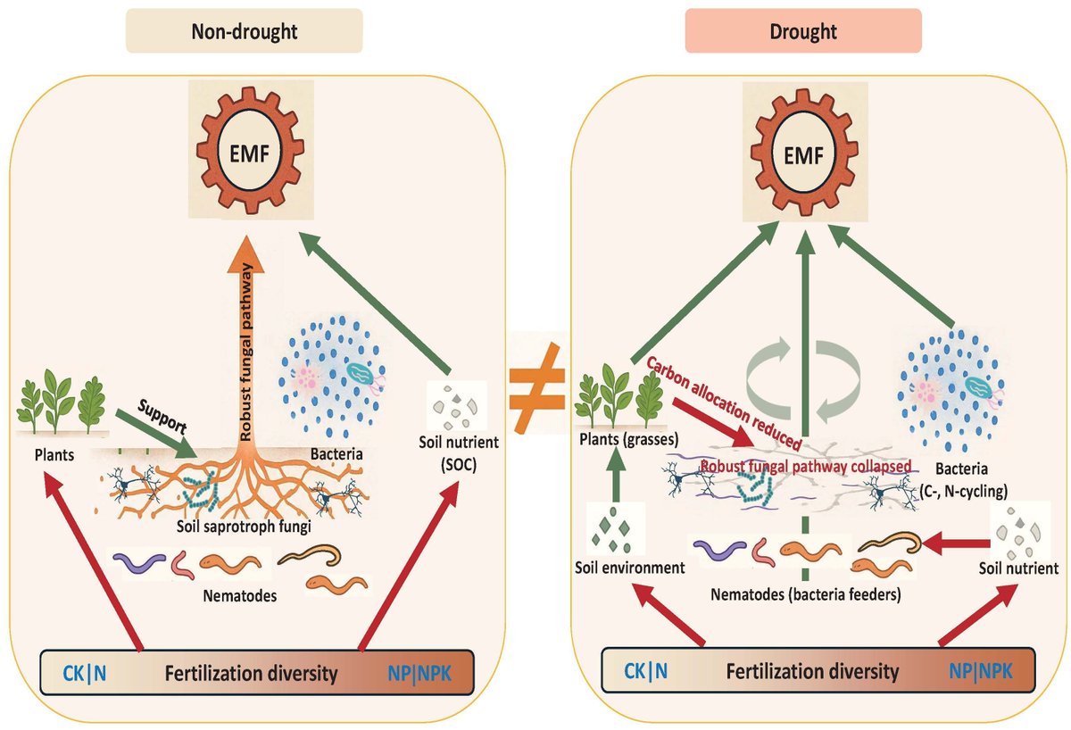 Global Change Biology tweet media