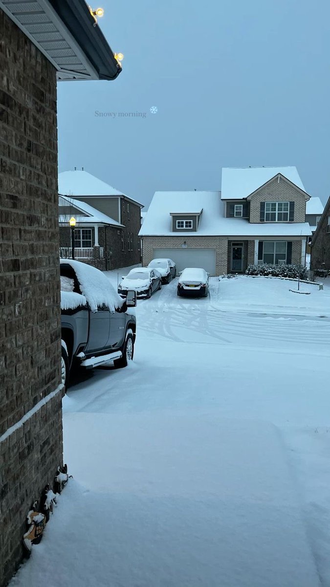 Ella Hollywood 🏳️‍⚧️ tweet media