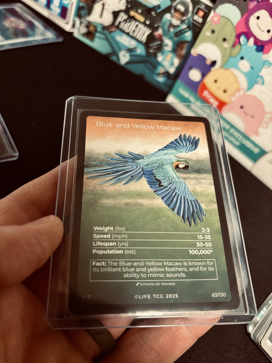 SBros Cards tweet media