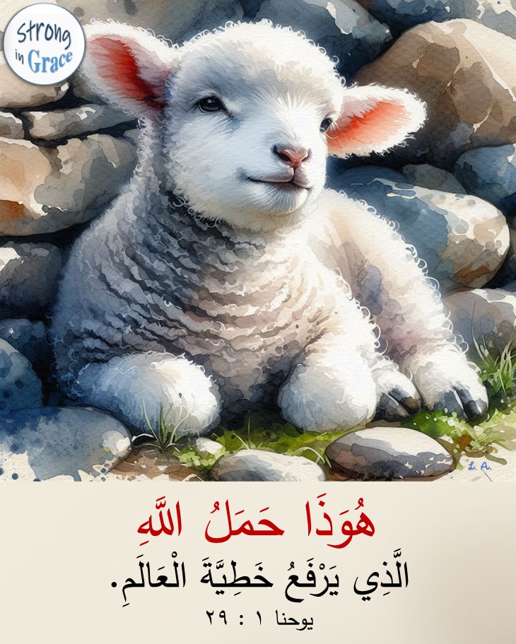 Strong In Grace Arabic (@SIG_Arabic) / Posts / X
