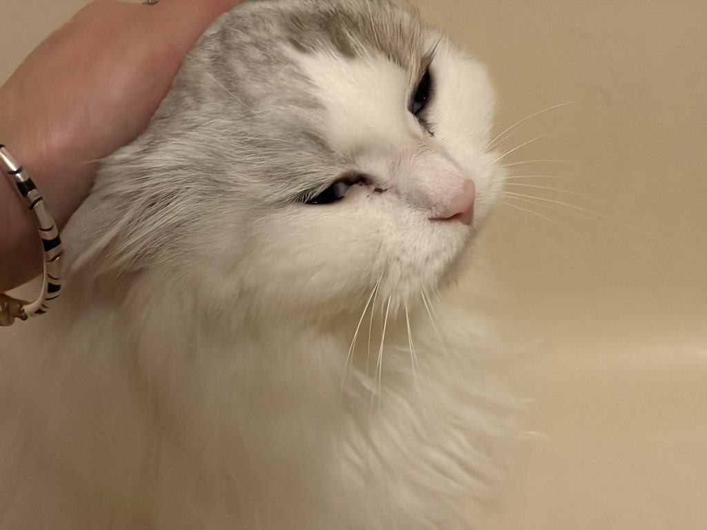 유정🎄🎁🎅✨ tweet media