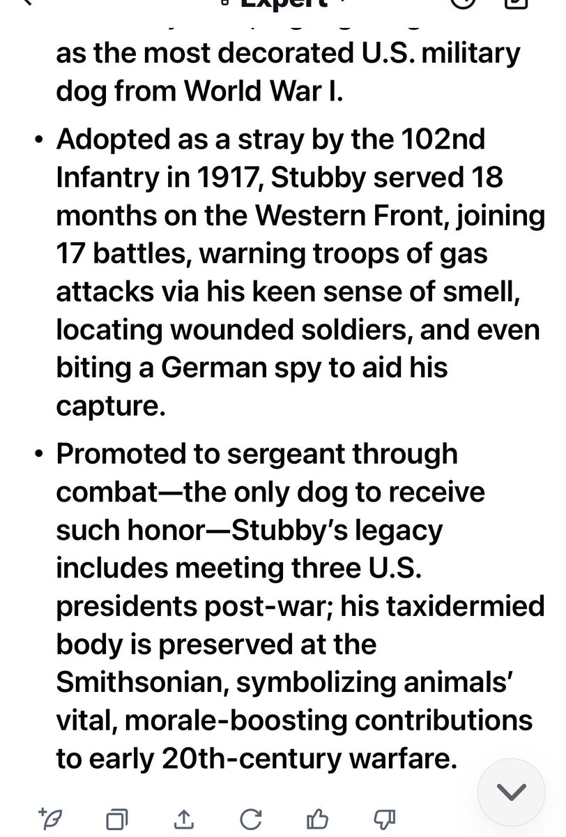 NickiSixx12's tweet image. ...preserved at the Smithsonian...🐾🇺🇸 #AnimalsOfWar #History