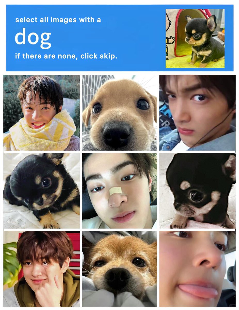 ෆ𝐏𝐞𝐚𝐜𝐡𝐉𝐚𝐦𝐁𝐮𝐧𝐧𝐲ෆ (@peachjambunny) on Twitter photo 