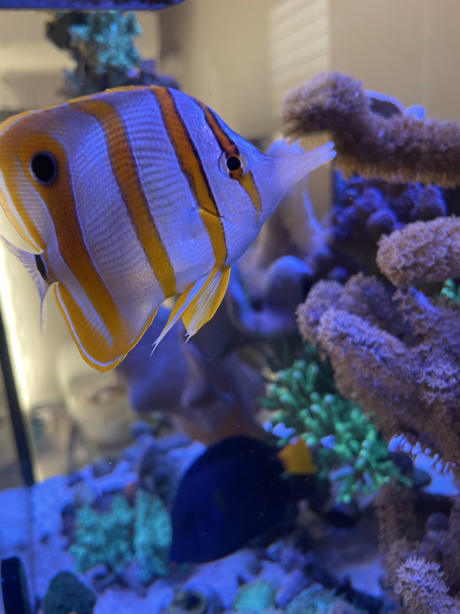 カワイコチャン♡