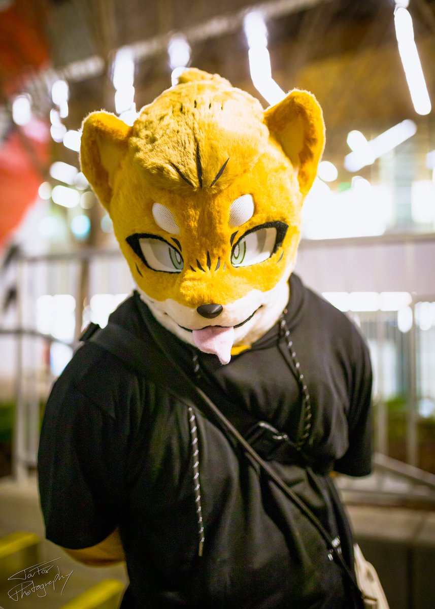 ya boy Bran ➡️ @brandrawsthings.bsky.social tweet media