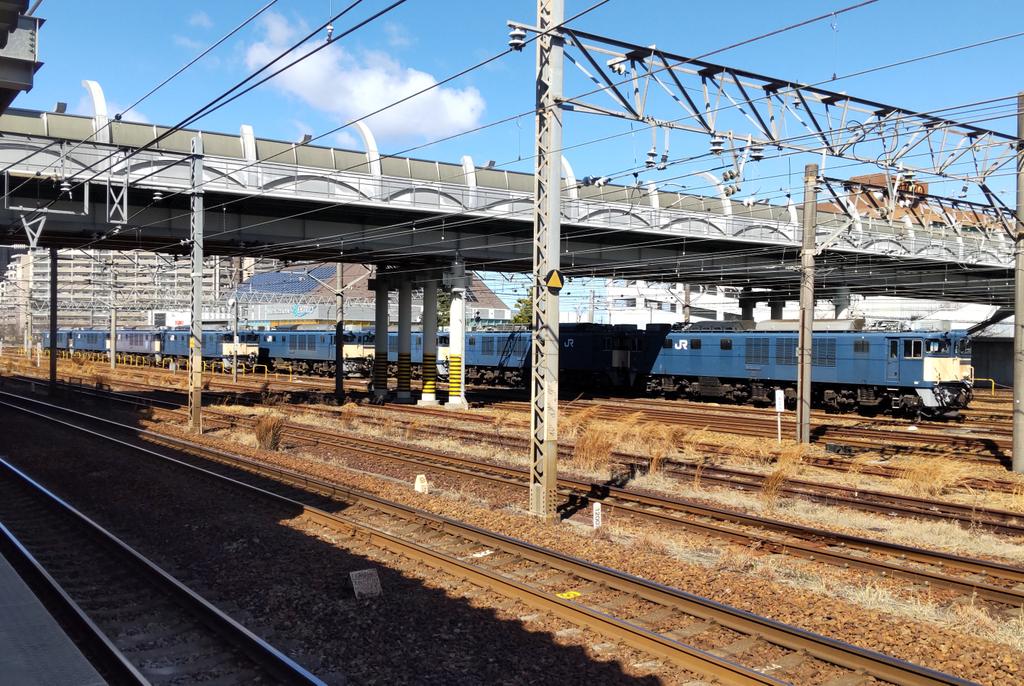 かねさい。。。 tweet media