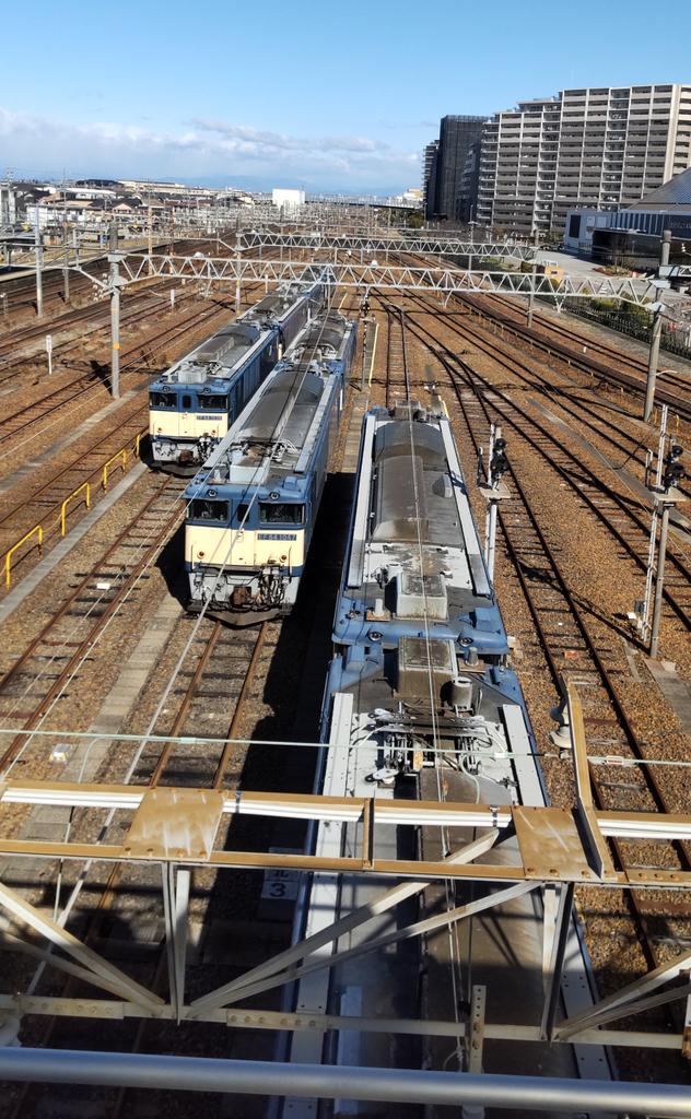 かねさい。。。 tweet media