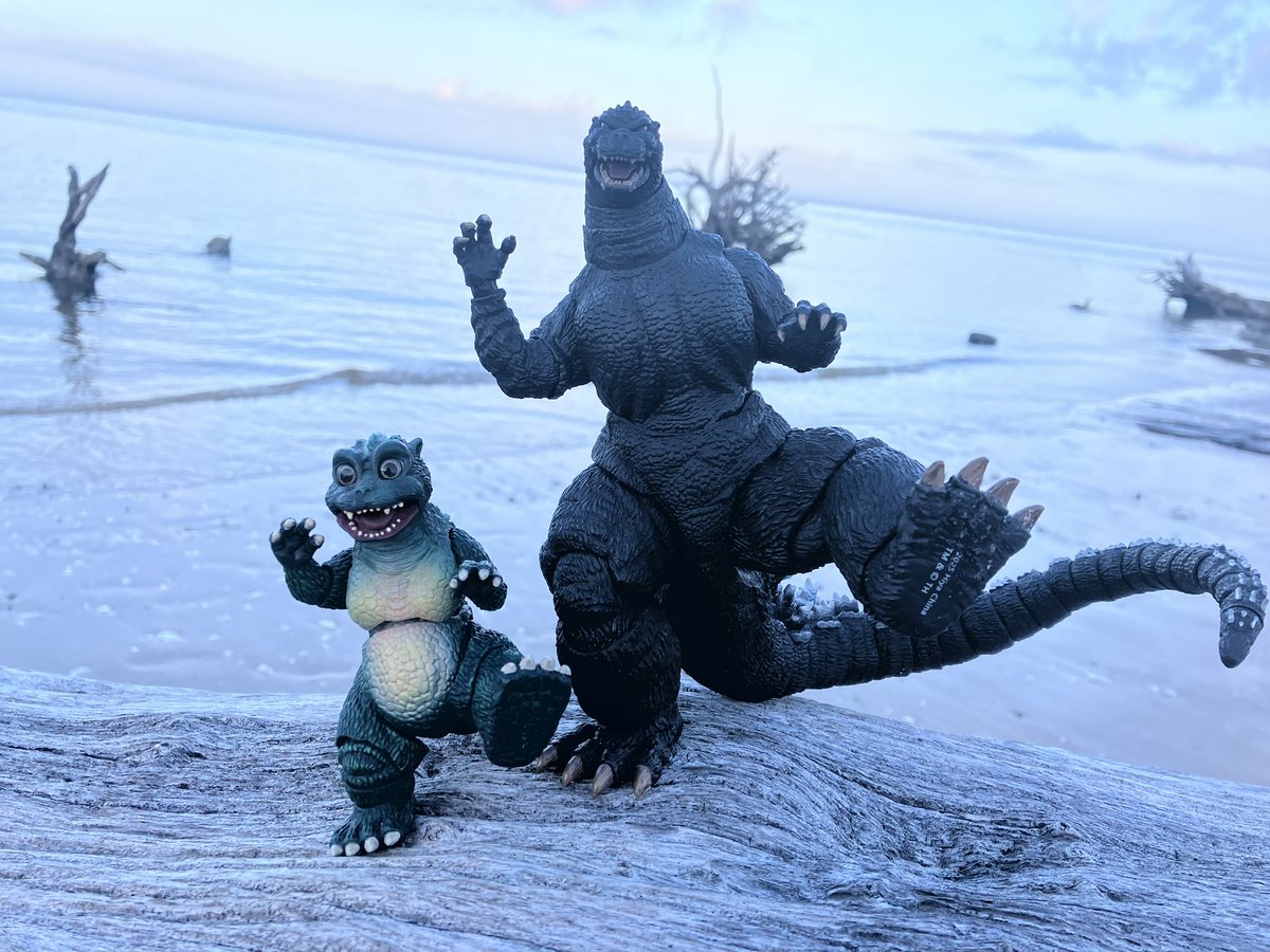 GGigantus's tweet photo. Beach day #godzilla #gojira #godzillajr #littlegodzilla #ゴジラ https://t.co/71YORJVGpm