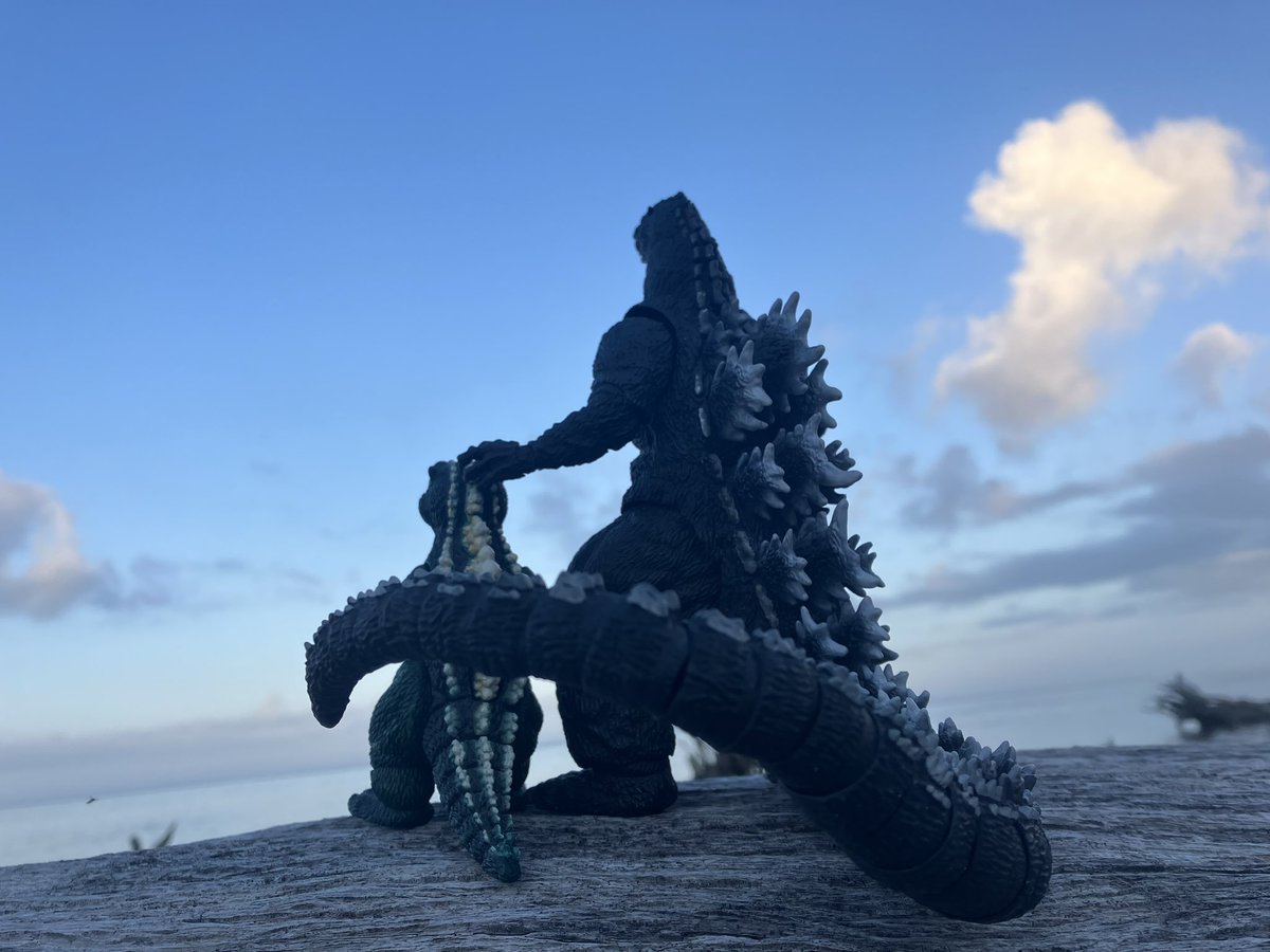 GGigantus's tweet photo. Beach day #godzilla #gojira #godzillajr #littlegodzilla #ゴジラ https://t.co/71YORJVGpm