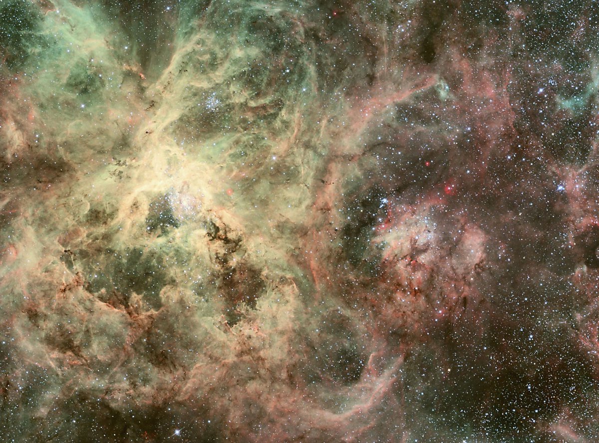XmxHowes's tweet photo. Check out my Space Collection https://t.co/kh7ZZ5F1cw
#Space #wallartforsale #wallart #gifts #giftideas #runawaystar #NASA #Beautyofspace #dvids #NASAImageOfTheDay #infaredlight #InterstellarSpace #MassageStar #binarySystem #zetaOphiuchi #homedecor https://t.co/2zUsjJSEZZ