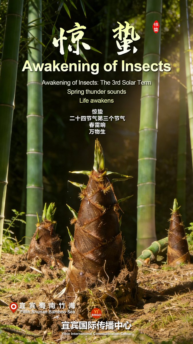 Amazing Yibin tweet media