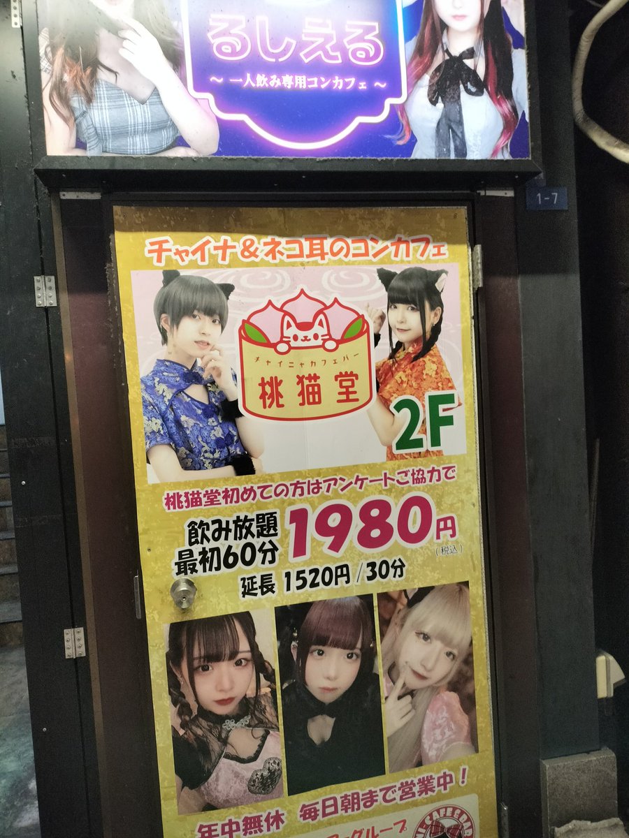 Post by LOVE INC. on X: ねこちゃん！