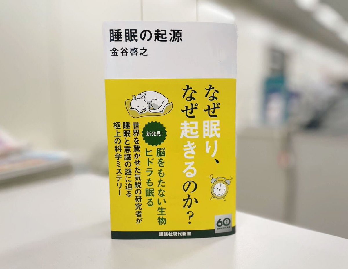 佐藤慶一（編集者） tweet media