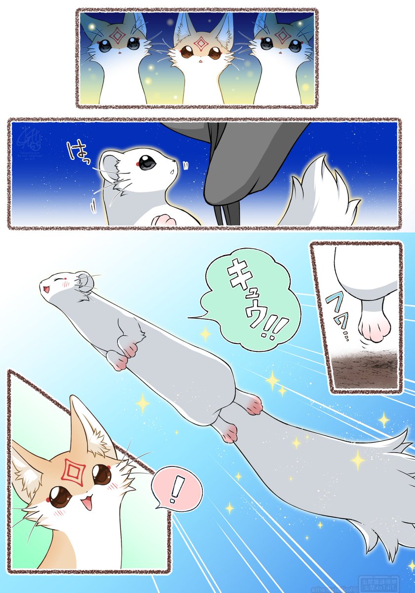 (2/2) 