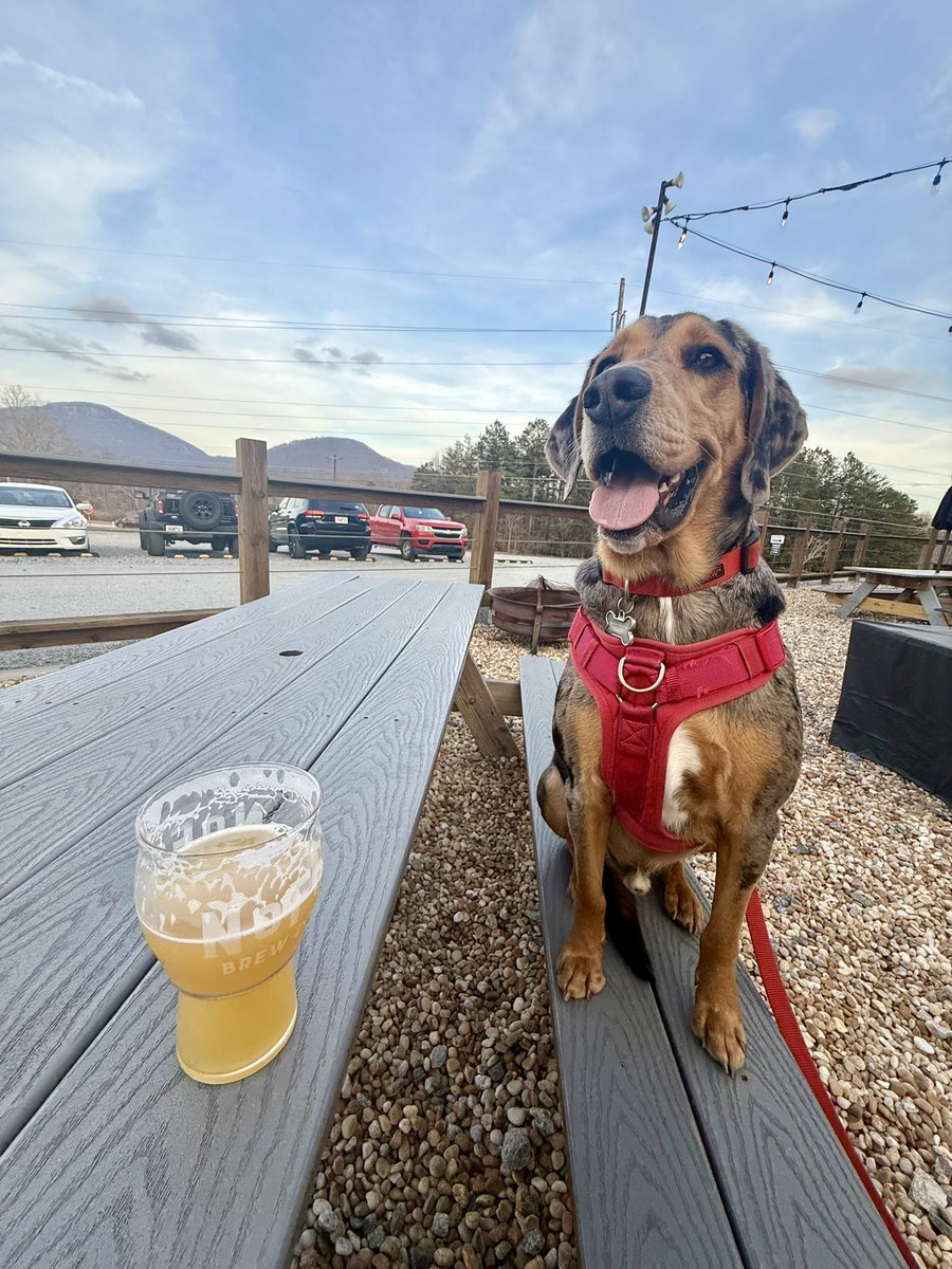 Logan Booker tweet media