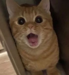 ม่ายยยยยยยยยยย t-t