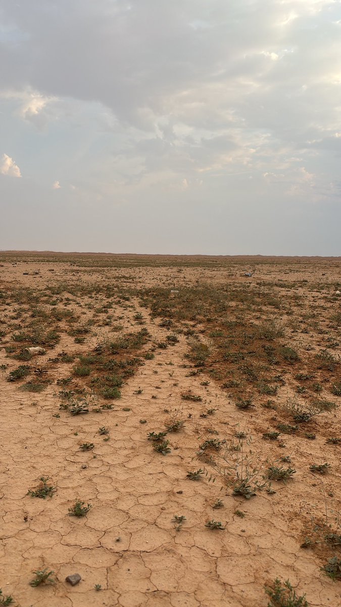 يارب ما للعبد دونك مداهيل
تضيق الأرض وتاسعه في رحابك