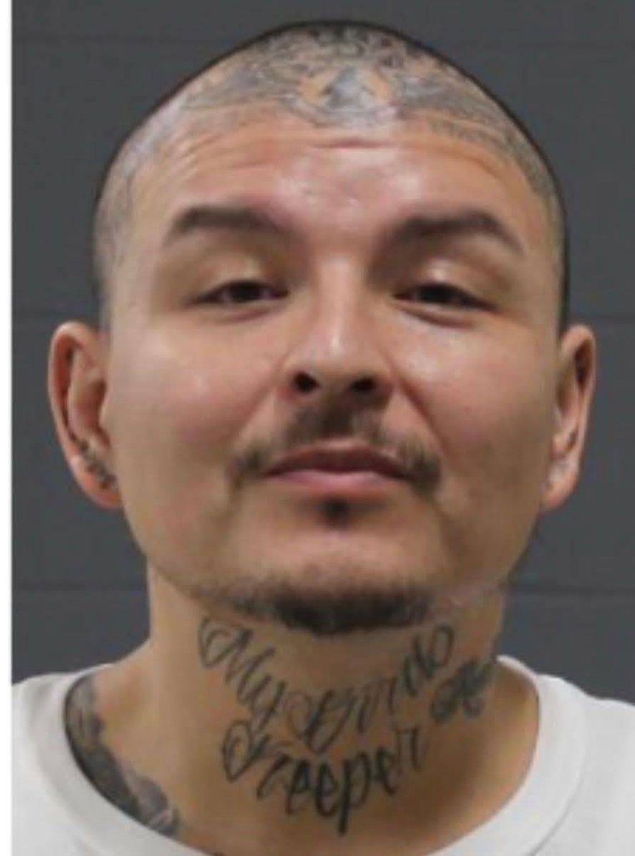 Tea Storm Chasers tweet media