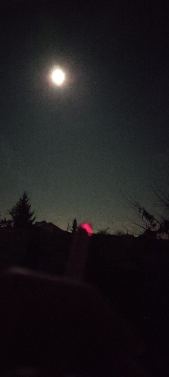 Forest Dweller🧙‍♂️🍄🌲 tweet media