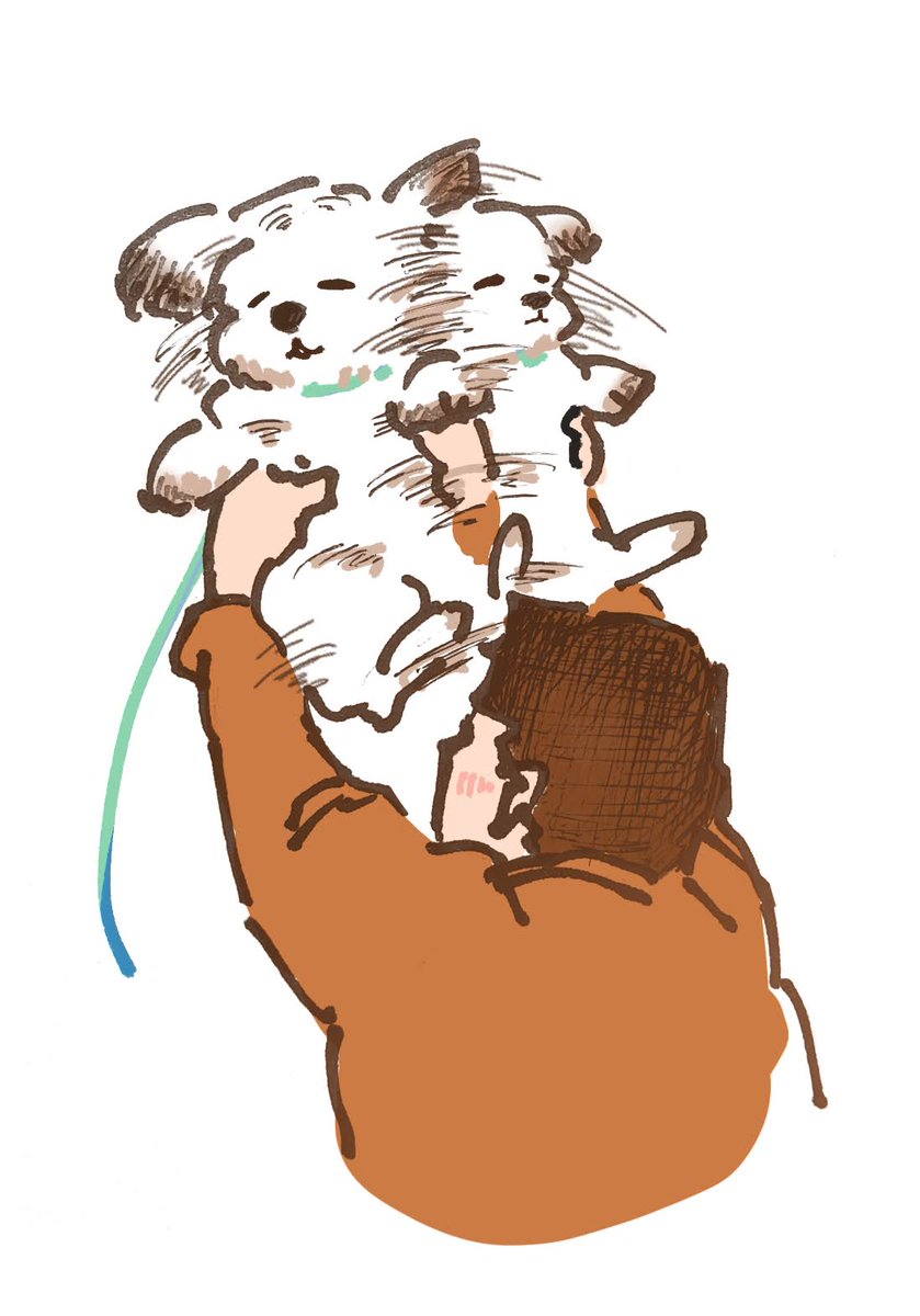 まるむし (@marumushi513) / Posts / X