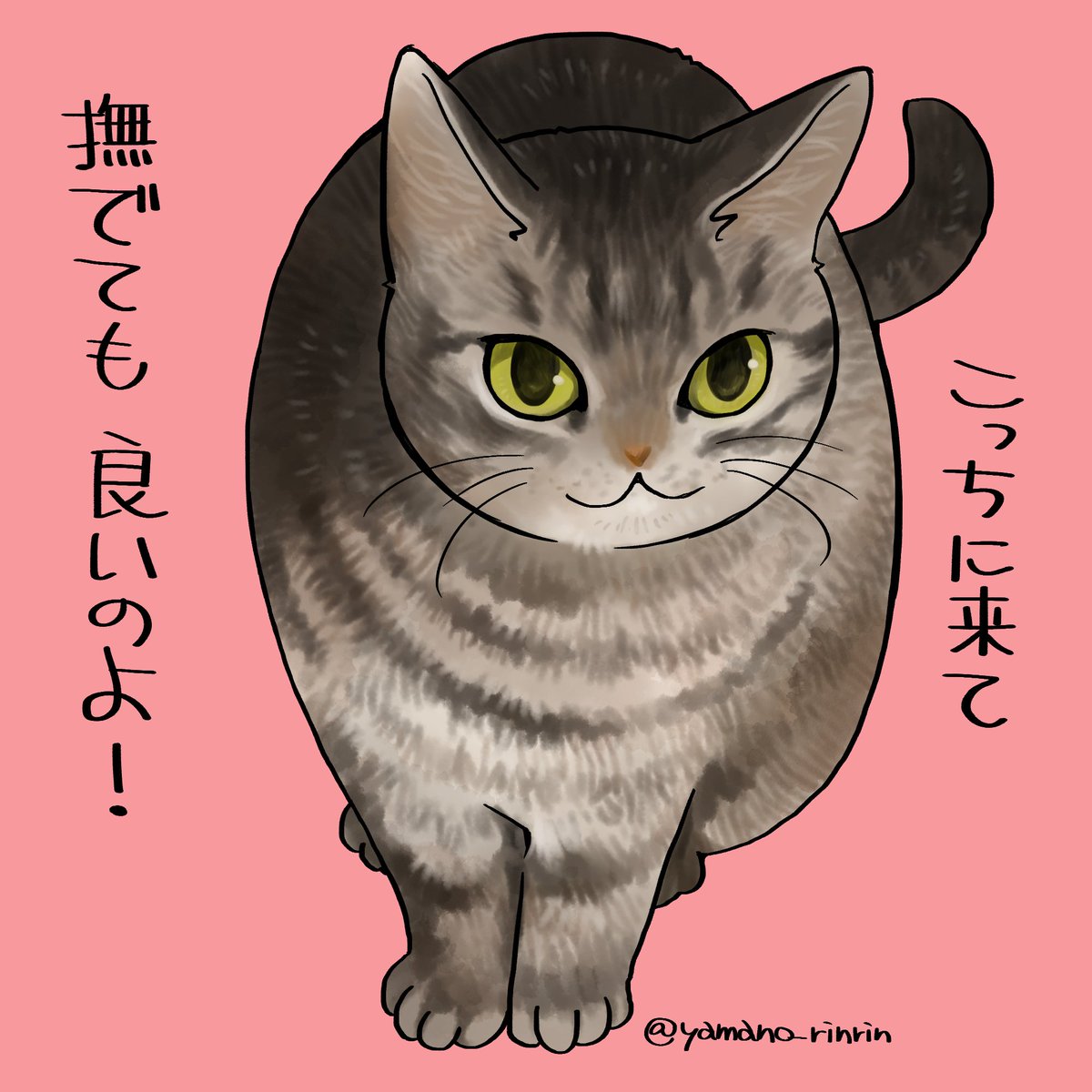 娘猫ヤムチャの母 tweet media