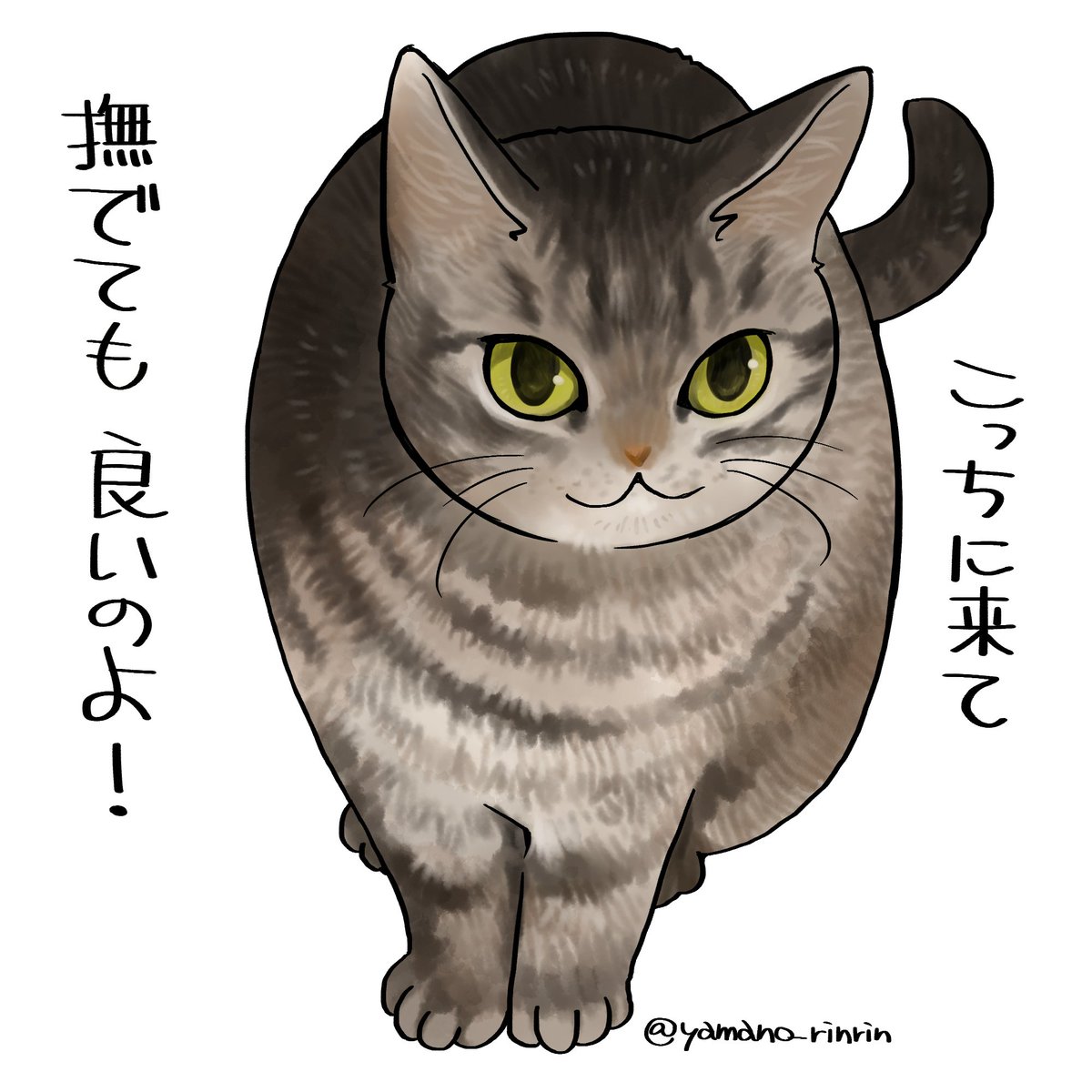 娘猫ヤムチャの母 tweet media