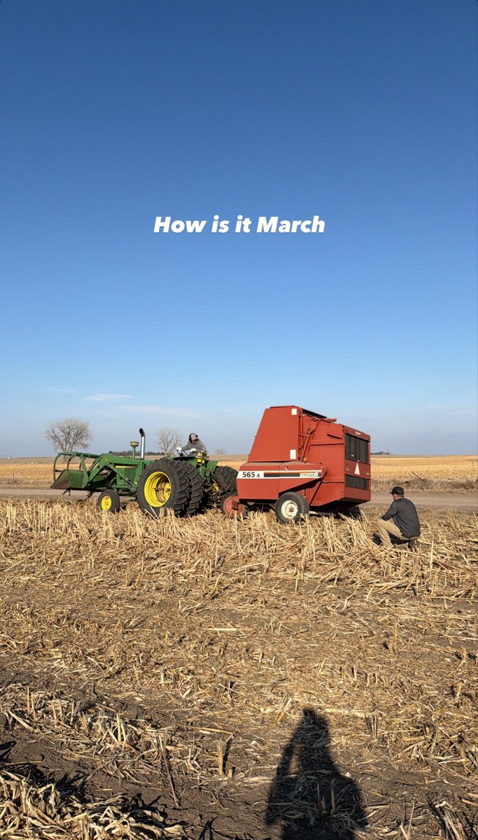 Laura_Farms_05's tweet photo. 👩‍🌾 🌽 🚜 https://t.co/fKsmsCODyS