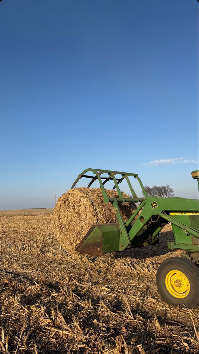 Laura_Farms_05's tweet photo. 👩‍🌾 🌽 🚜 https://t.co/fKsmsCODyS