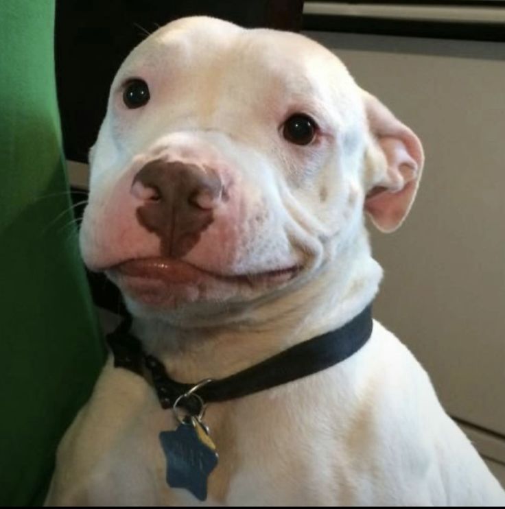 bee ᕙ( • ‿ • )ᕗ || edtwt tweet media