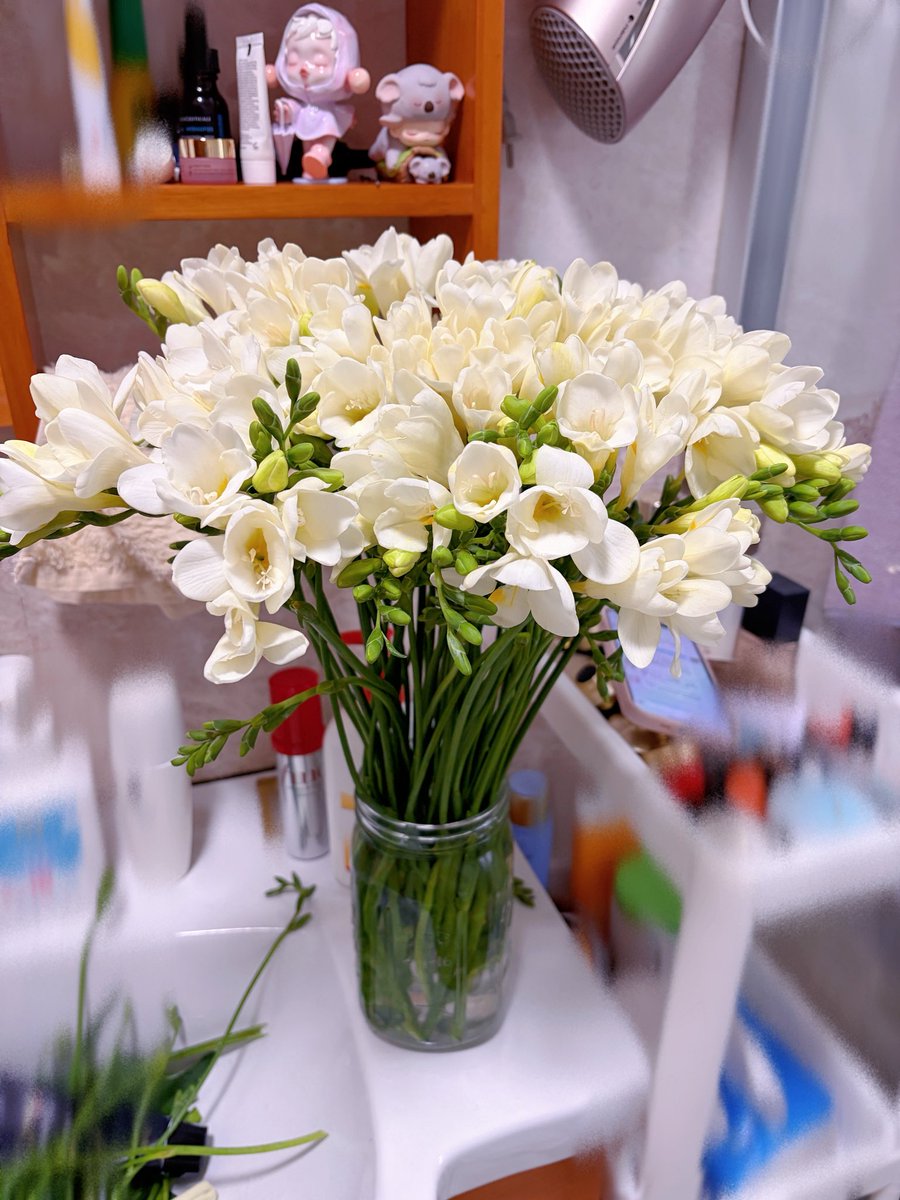 树袋熊也是熊🐨 tweet media