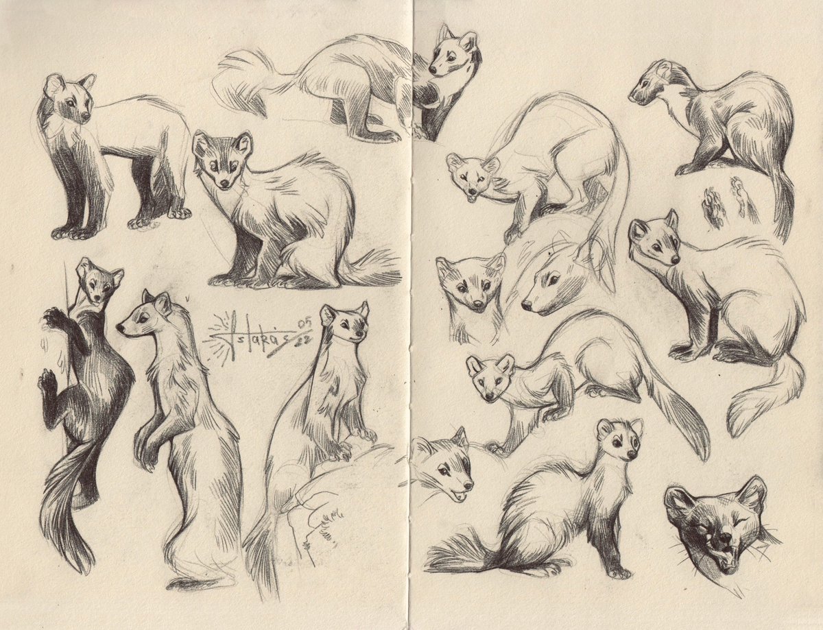 Astarcis🍂 tweet media