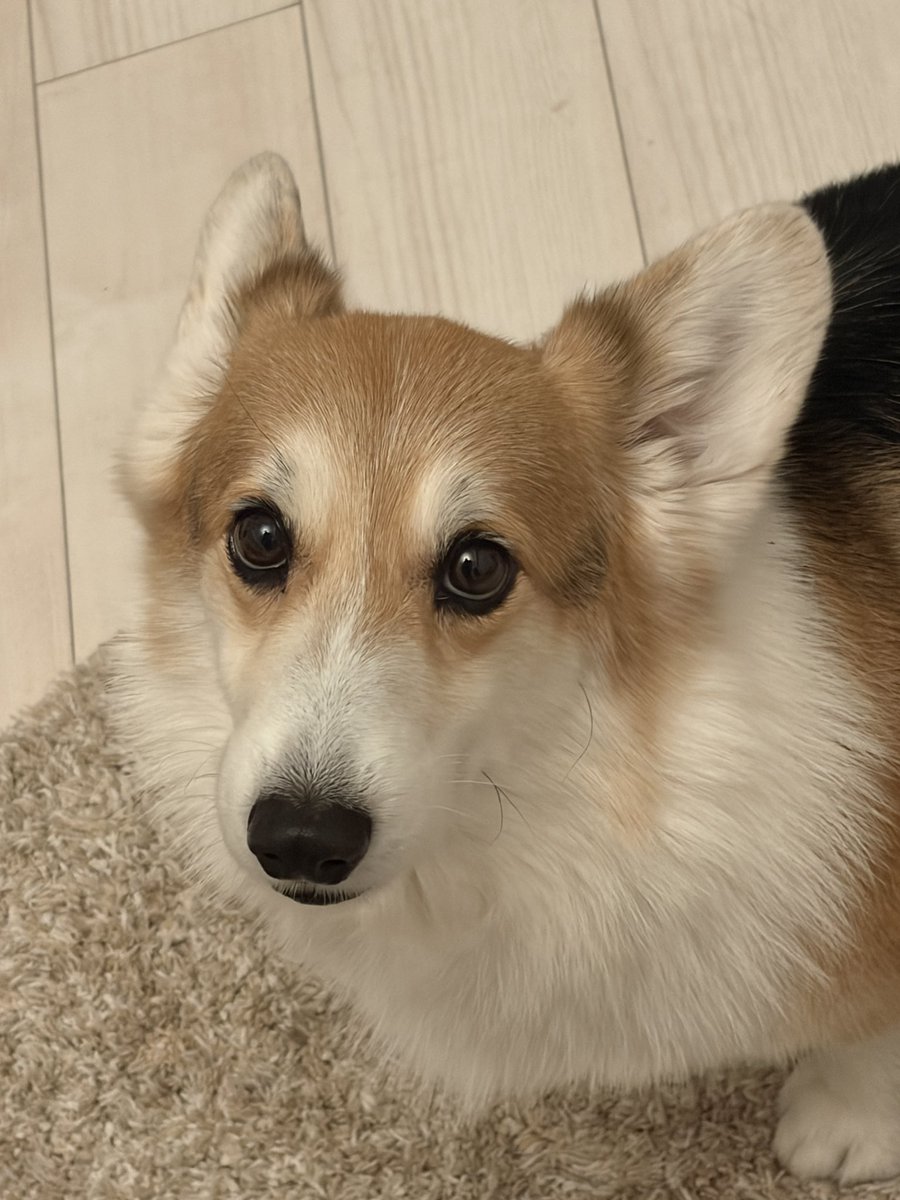 𝐑𝐮𝐢 tweet media