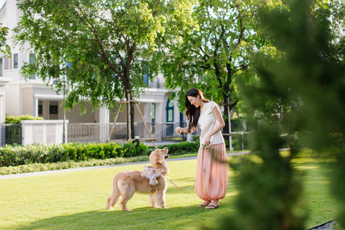 SansiriPLC's tweet photo. ที่น่าสนใจยิ่งกว่าคือการยกรันเวย์ไปในสวน Jardin des Tuileries ที่สร้างขึ้นเพื่อพระนางแคทเธอรีน เดอ เมดีชี โดยจุดเด่นสวนคือการแบ่งเป็นช่องสี่เหลี่ยมผืนผ้าด้วยทางเดิน 6 เส้น ปลูกต้นไม้และดอกไม้ตามรูปทรงควินคันซ์

ที่แสนสิริก็มีสวนส่วนกลางสีเ��ียวที่ร่มรื่นไปด้วยต้นไม้ให้ลูกบ้านได้ออกมาใช้เวลากับคนที่รักได้ในทุกวัน ทำให้การใช้ชีวิตมีความหมายมากขึ้นไปด้วยกัน🌿💕

ขอบคุณภาพและข้อมูลจาก Dior