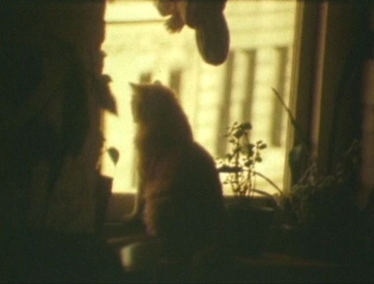 우연히 나는아 름다움의 섬광 을보았다