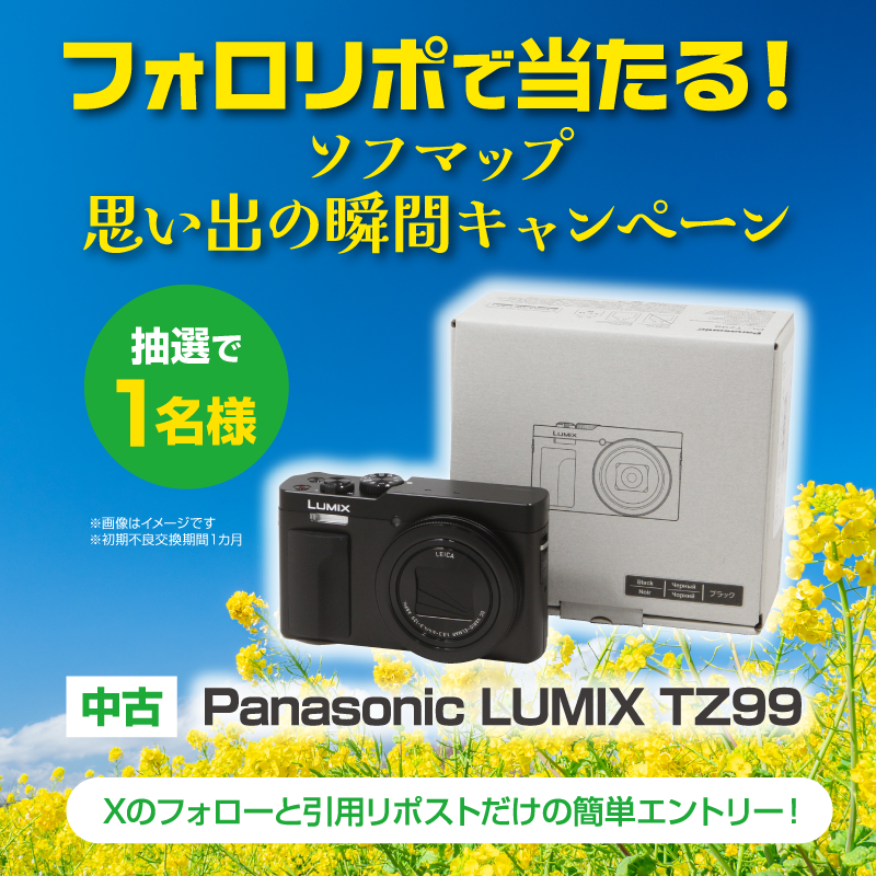 思い出の瞬間 波打ち際で波にさらわれた思い出 たぶん2歳くらい、忘れ